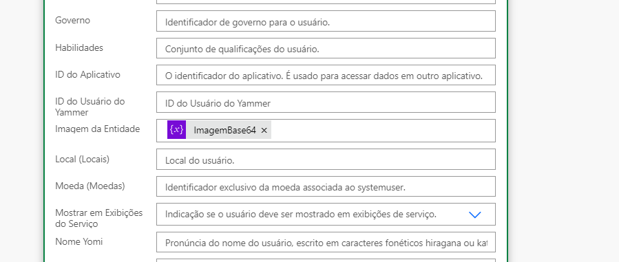 Habilidades 
ID do Aplicativo 
ID do Usuário do 
Imagem da Entidade 
Local (Locais) 
Moeda (Moedas) 
Mostrar Exibições 
Nome Yomi 
Identificador de governo para o usuário. 
Conjunto de qualificações do usuário. 
O identificador do aplicativo. E usado para acessar dados em outro aplicativo. 
ID do Usuário do Yammer 
Local do usuário. 
Identificador exclusi%C da moeda associada ao systemuser. 
Indicaçào se o usuário deve ser mostrado em exibições de serviço. 
Pronúncia do nome do usuário. escrito em caracteres fonéticos hiragana ou ka• 